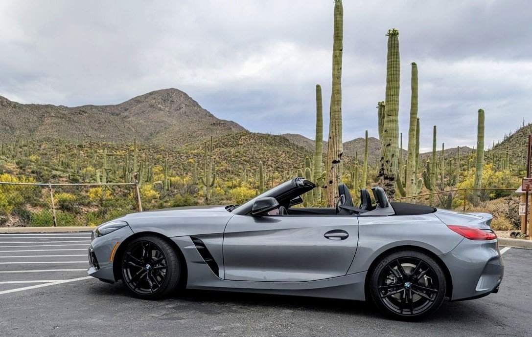 Rattlesnake Matty tweet media