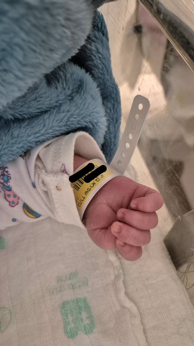 יערה שפירא tweet media