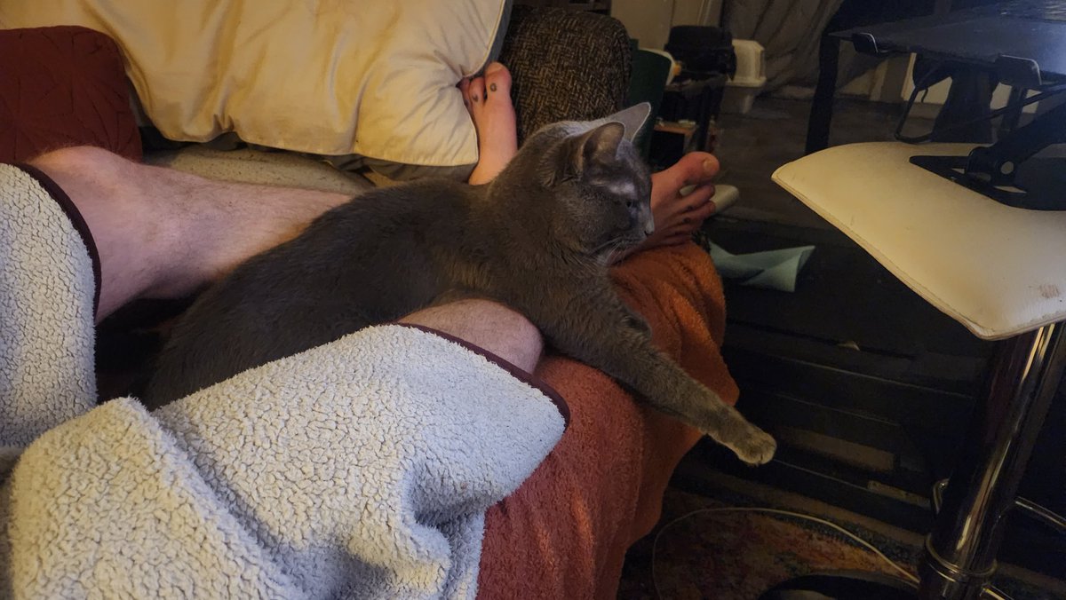 MissNSFWitch tweet media