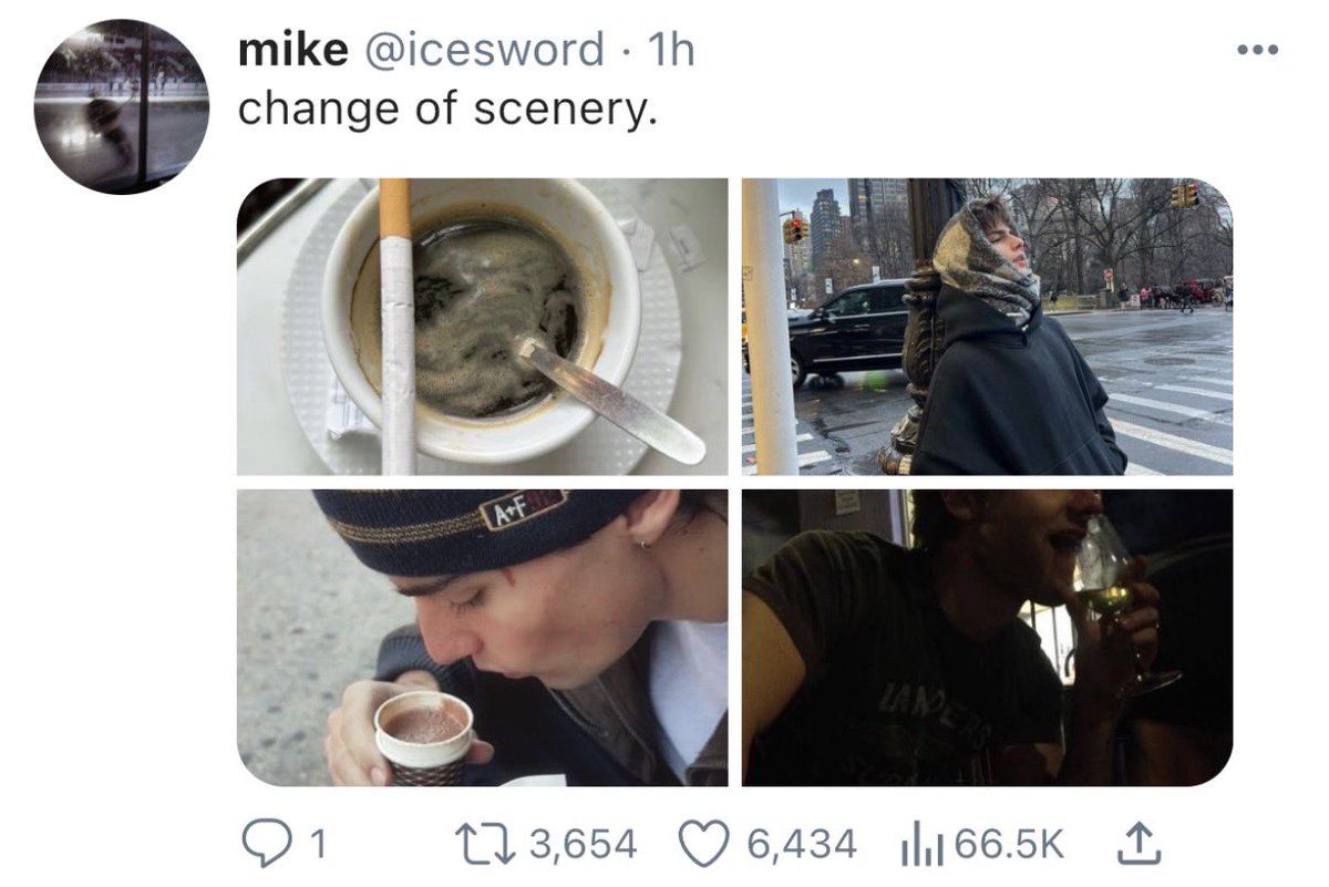 augusta ꪆৎ tweet media