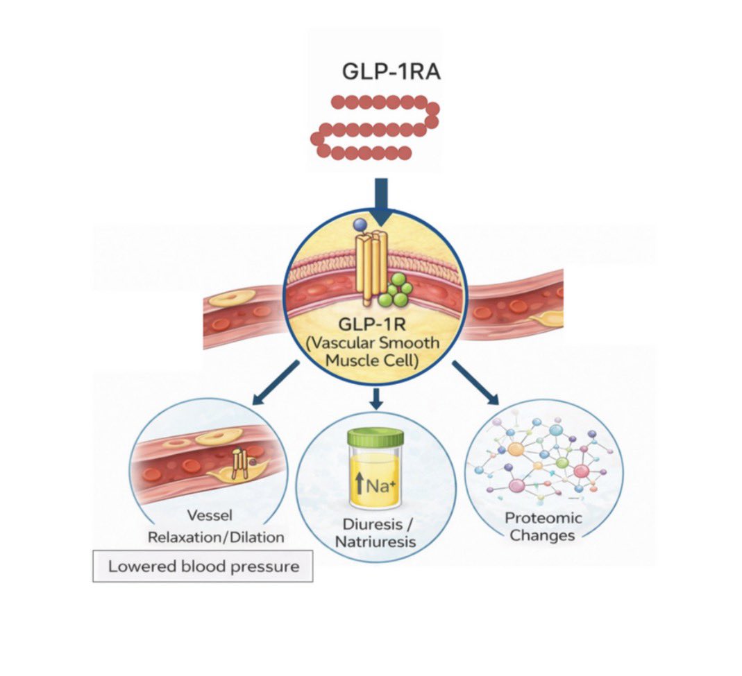 redGDPS Diabetes tweet media