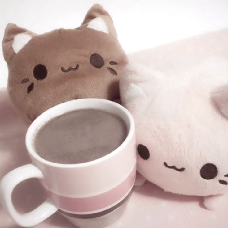 leechi ᥫ᭡ | bmi 19 jail tweet media