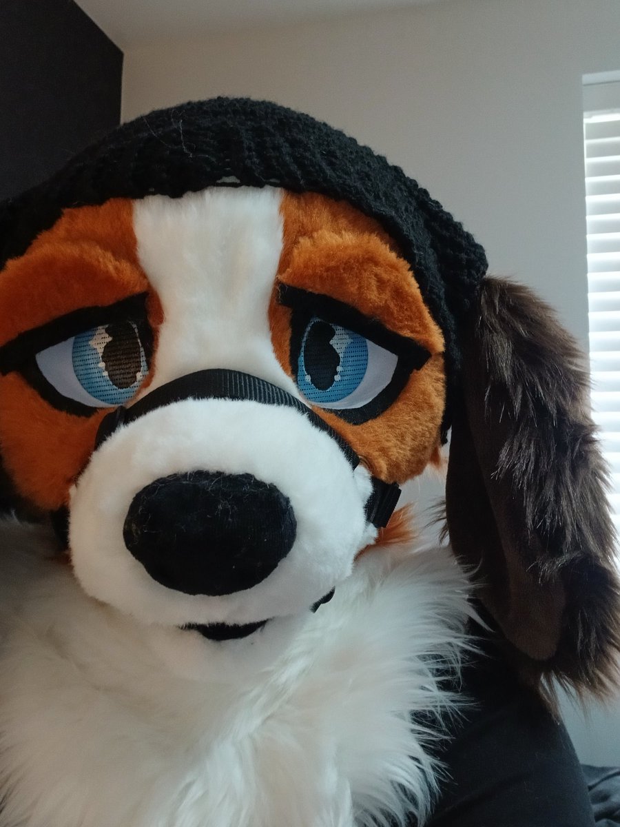 BeanThePunk 🔜CFZ tweet media