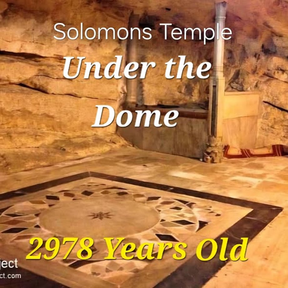 No Dhimmi tweet media