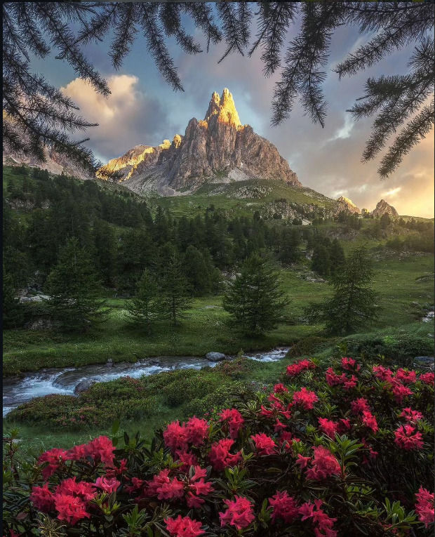 brutus dm tweet media