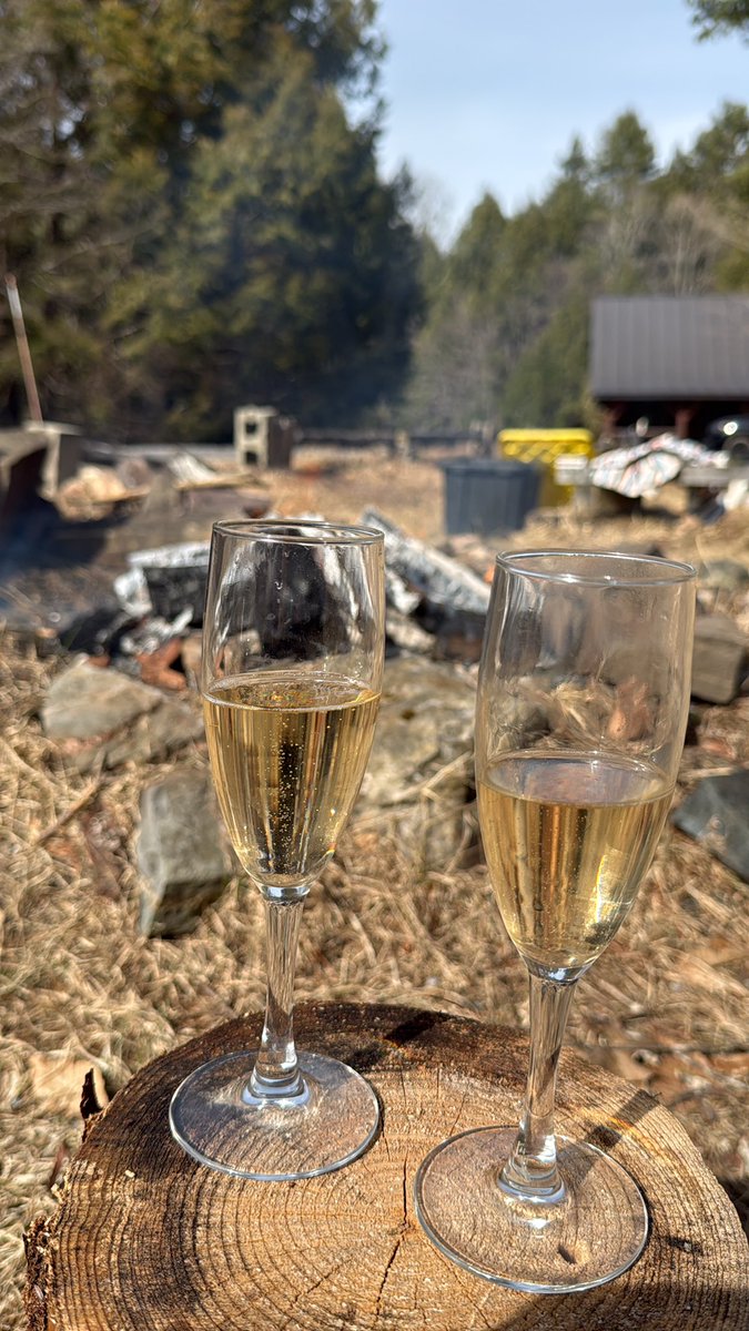 21st Century Digital Boy tweet media