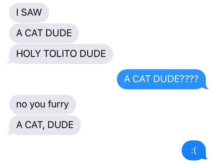 Furry memes tweet media