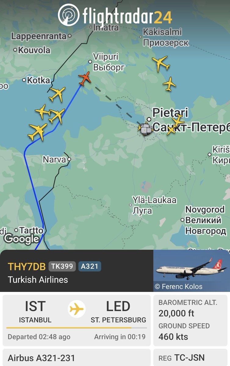 Air Force Freak tweet media