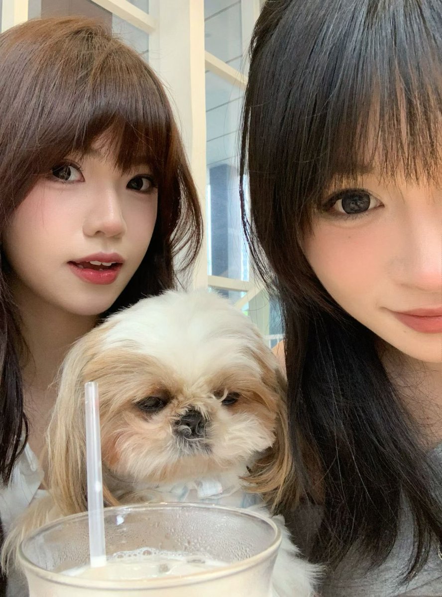 一颗冰糖 (@bingtangbang) / Posts / X