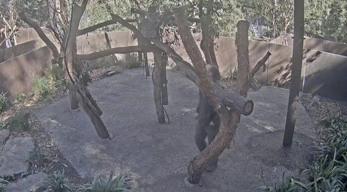 Friendly Dev tweet media