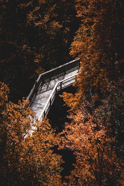 Michael Foley tweet media