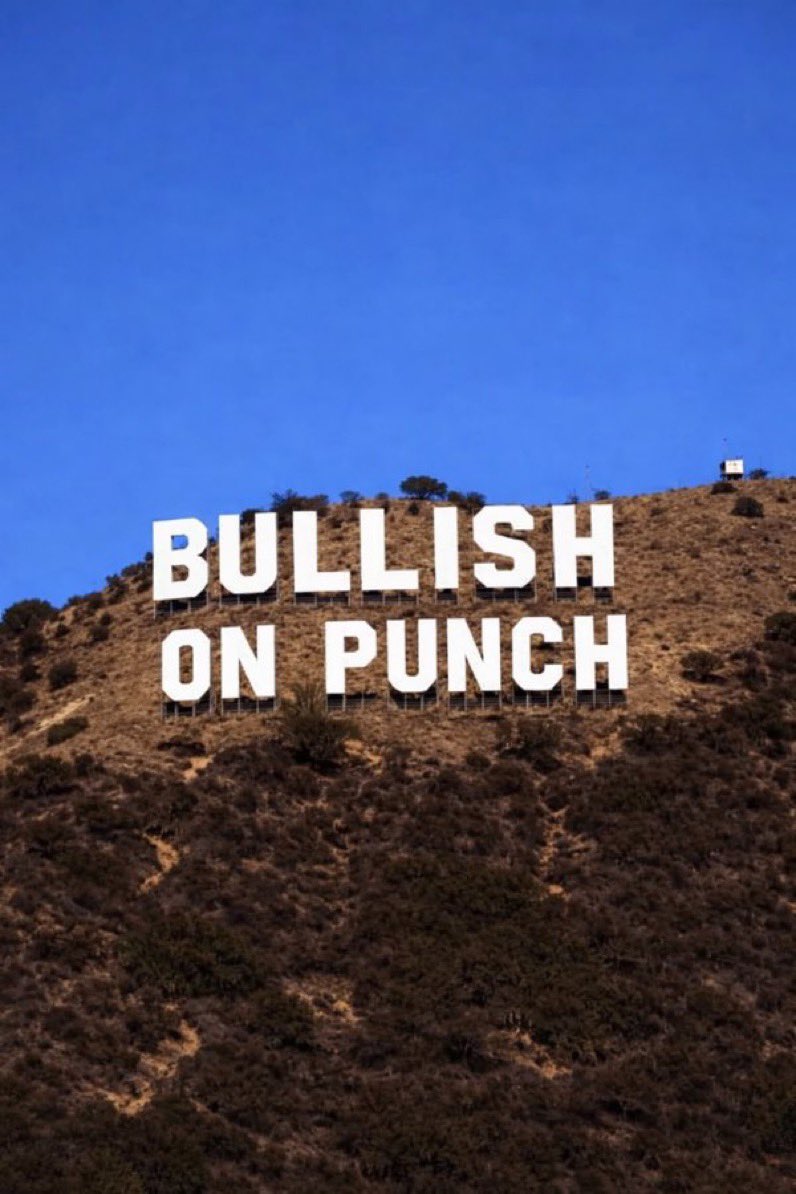 murf $punch tweet media