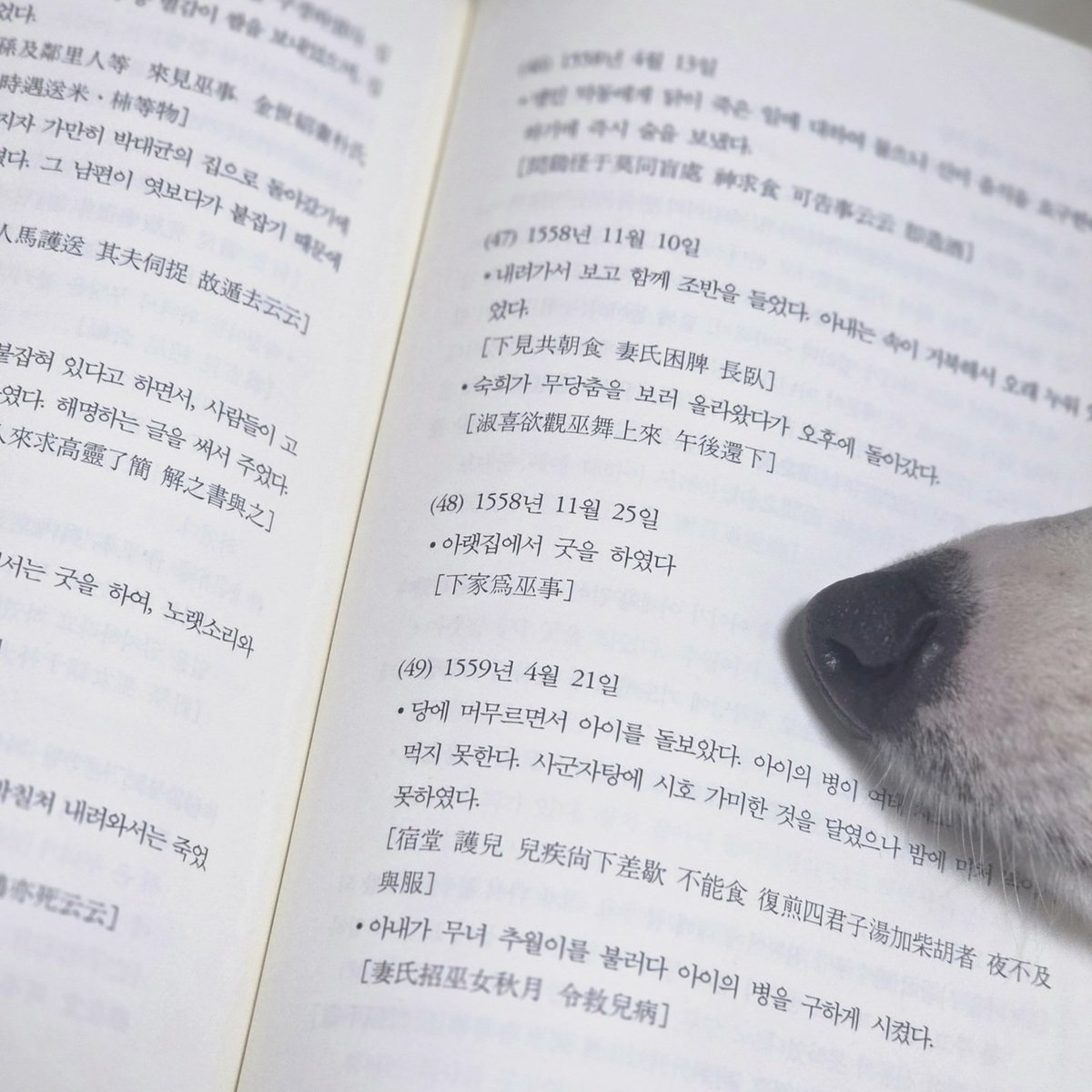 감자아빠 은호당恩熩堂 tweet media