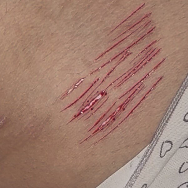 markiplier of shedtwt tweet media