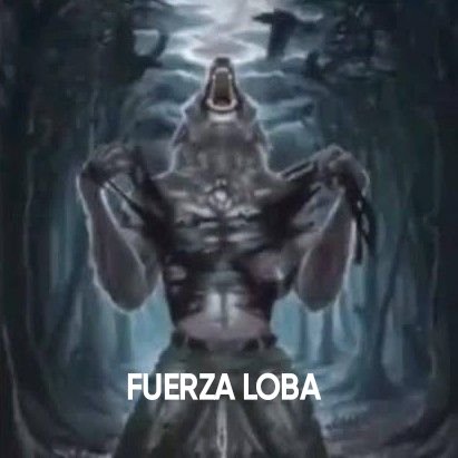 fer ENHYPEN IS SEVEN tweet media