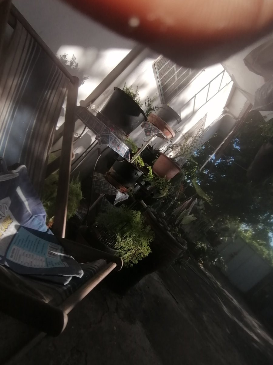 Xzager⚡🇫🇷 tweet media