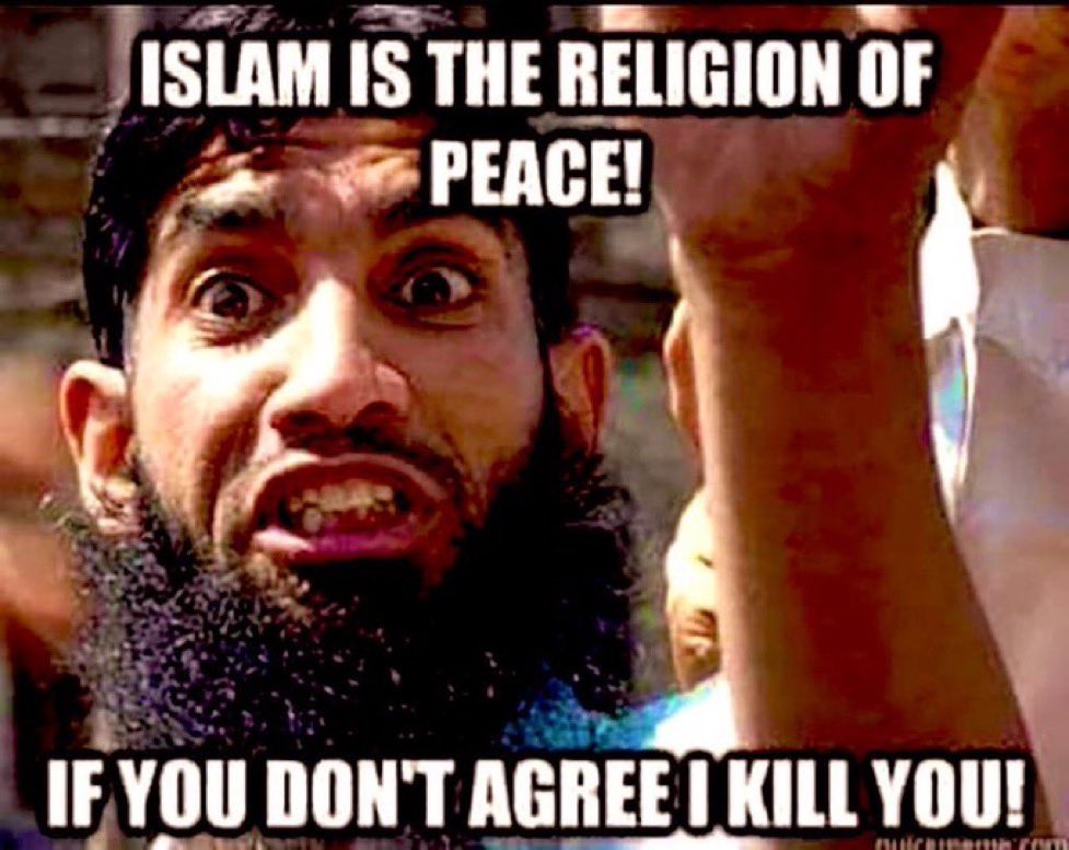 El-Macho tweet media