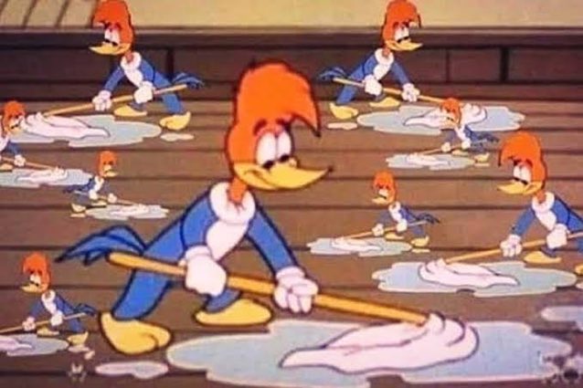 mirassol 🌷 tweet media