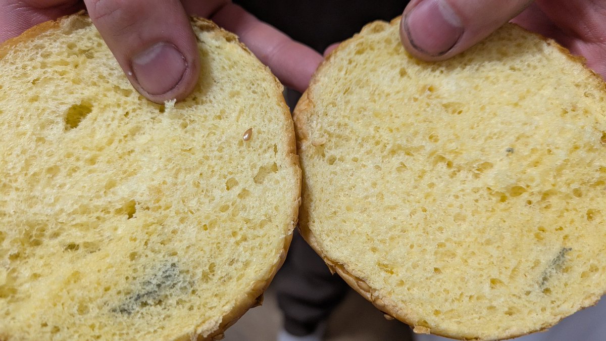 gracie 🤍 tweet media