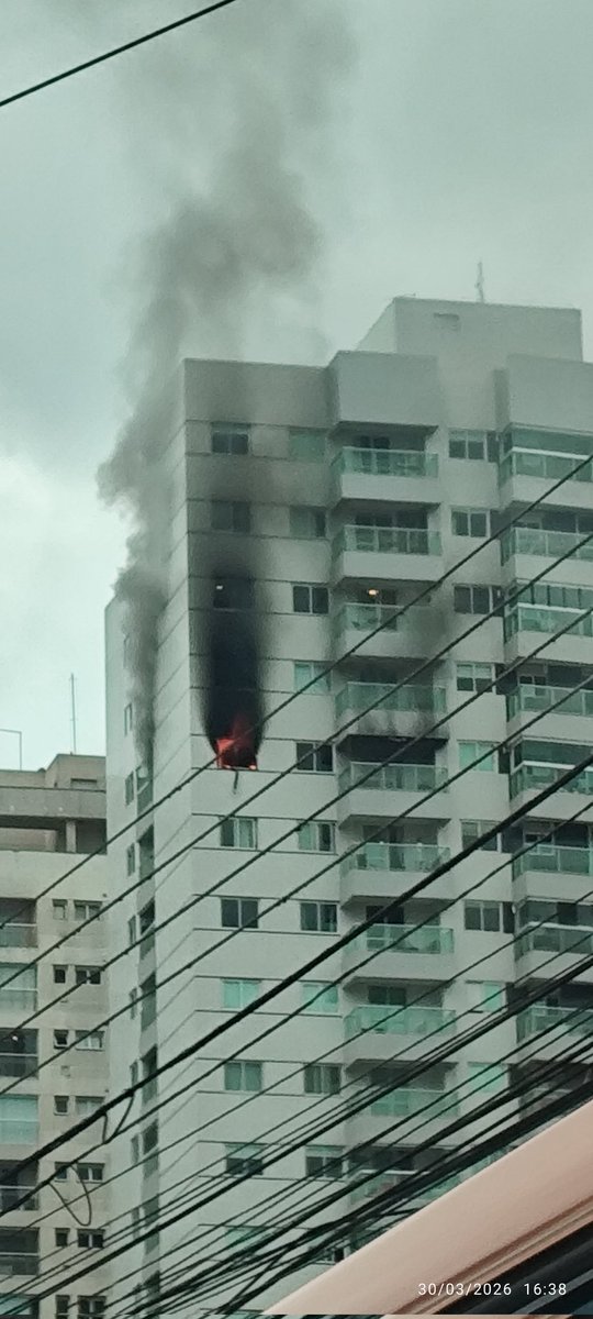 GuGa Scapin tweet media