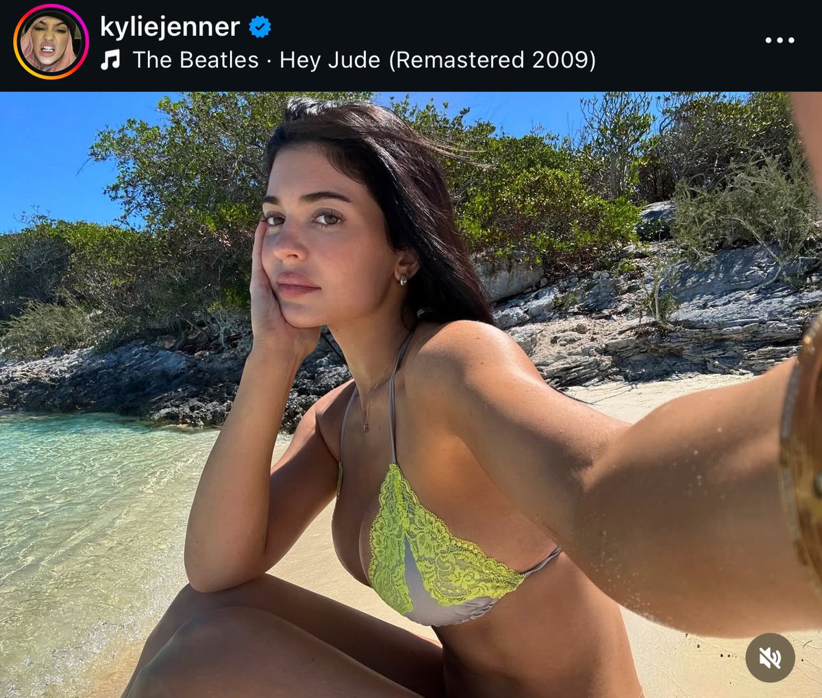 koko 🐸🐼 (evil ver) tweet media