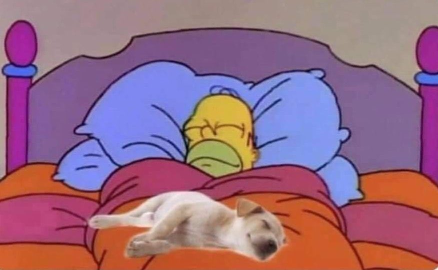 Renato Mármol tweet media