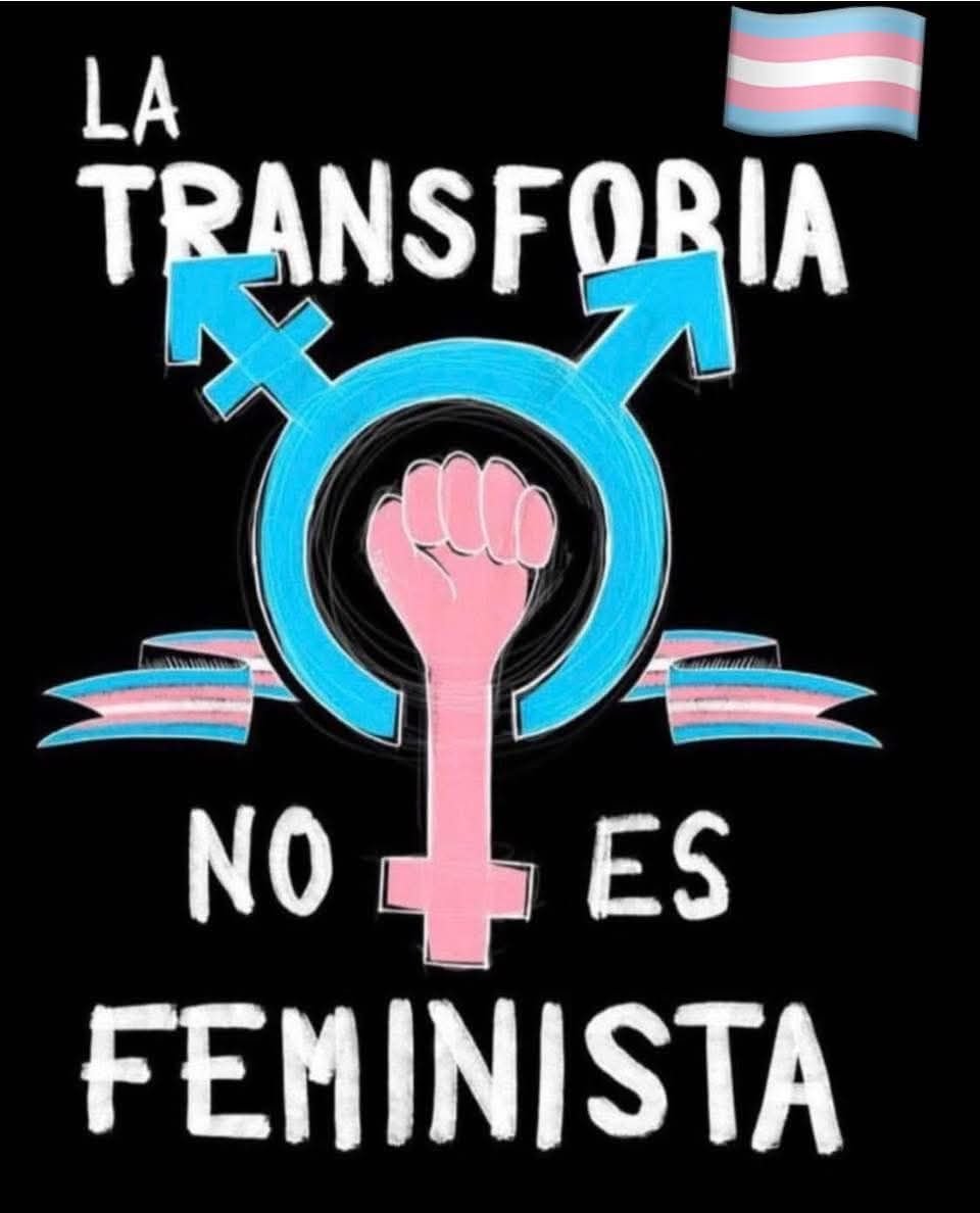 Transactivismo Feminista tweet media