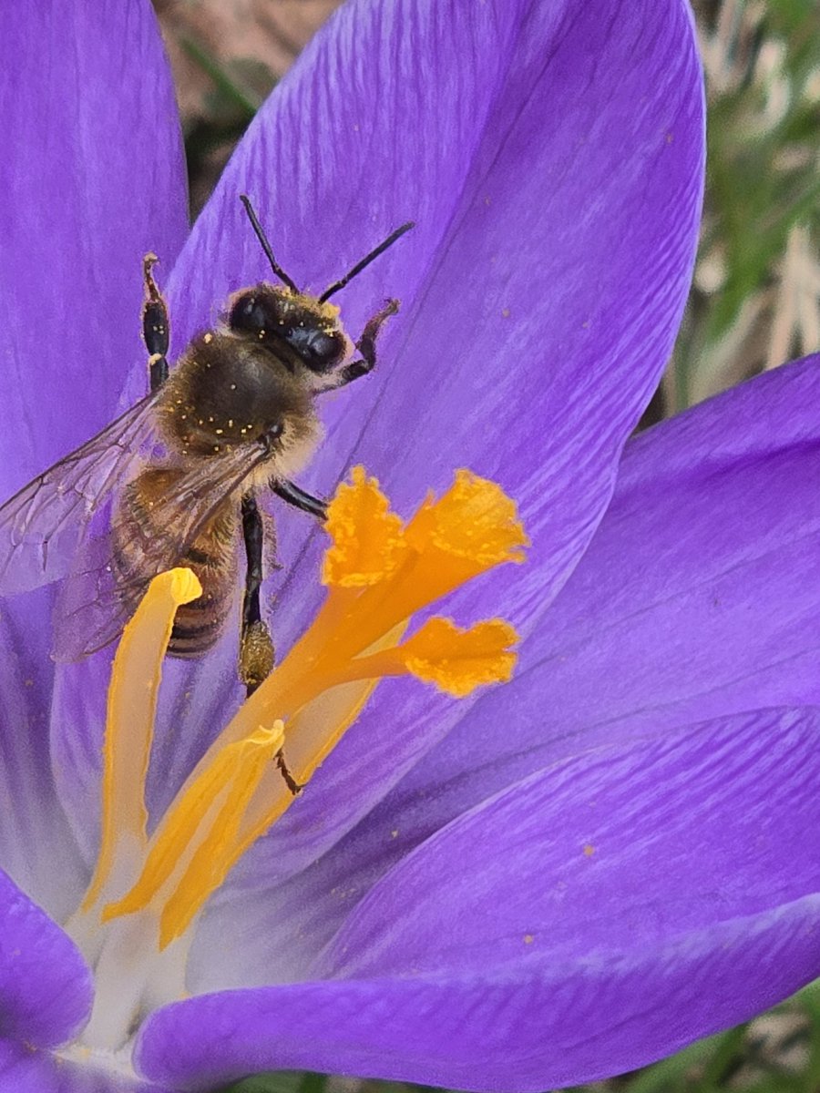 David Willmott tweet media