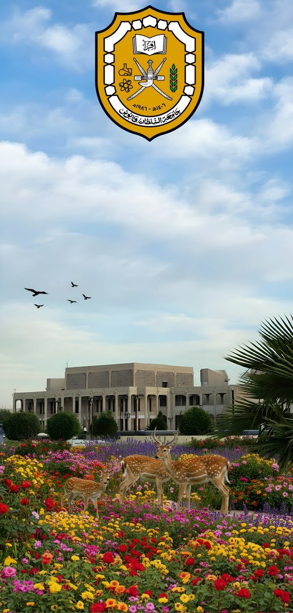 حسن الدرمكي tweet media