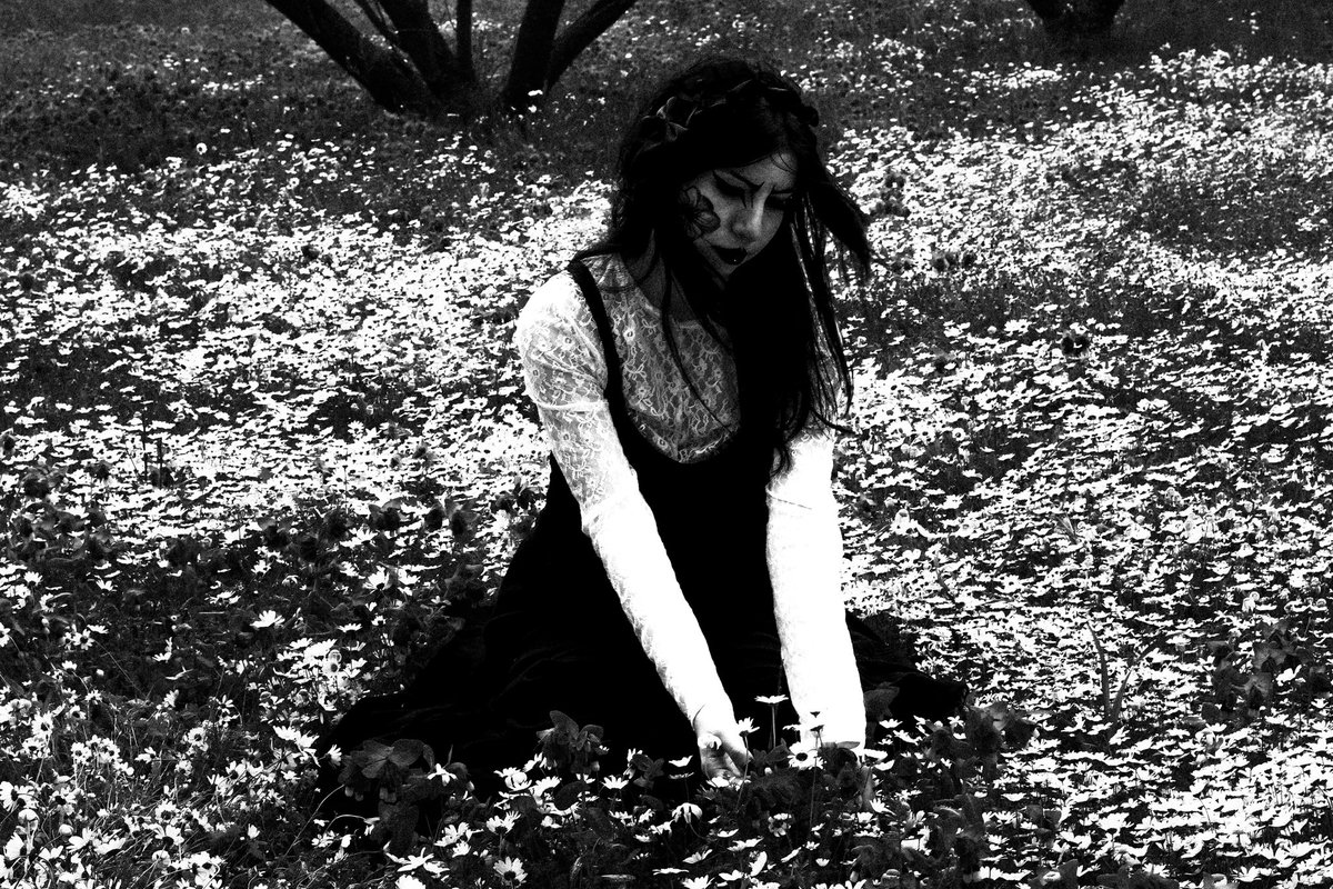 nyx ʚ SAW MME ɞ tweet media