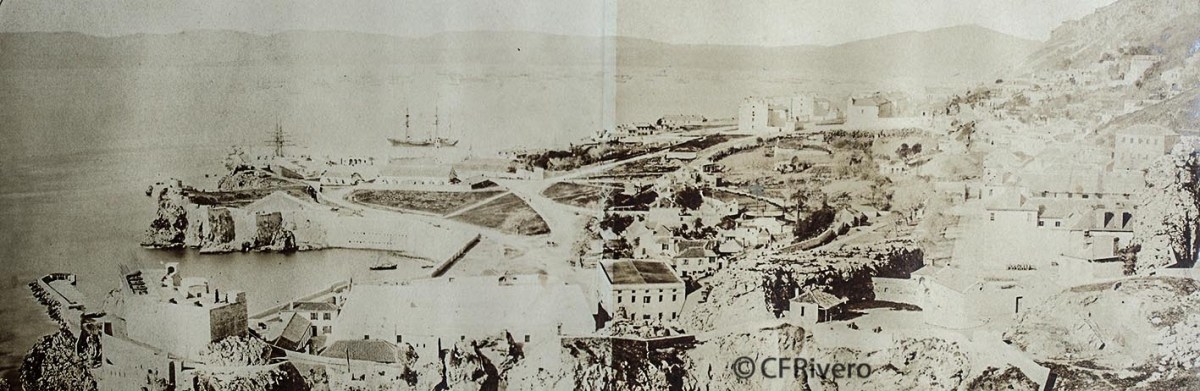 Fotoconnexió tweet media