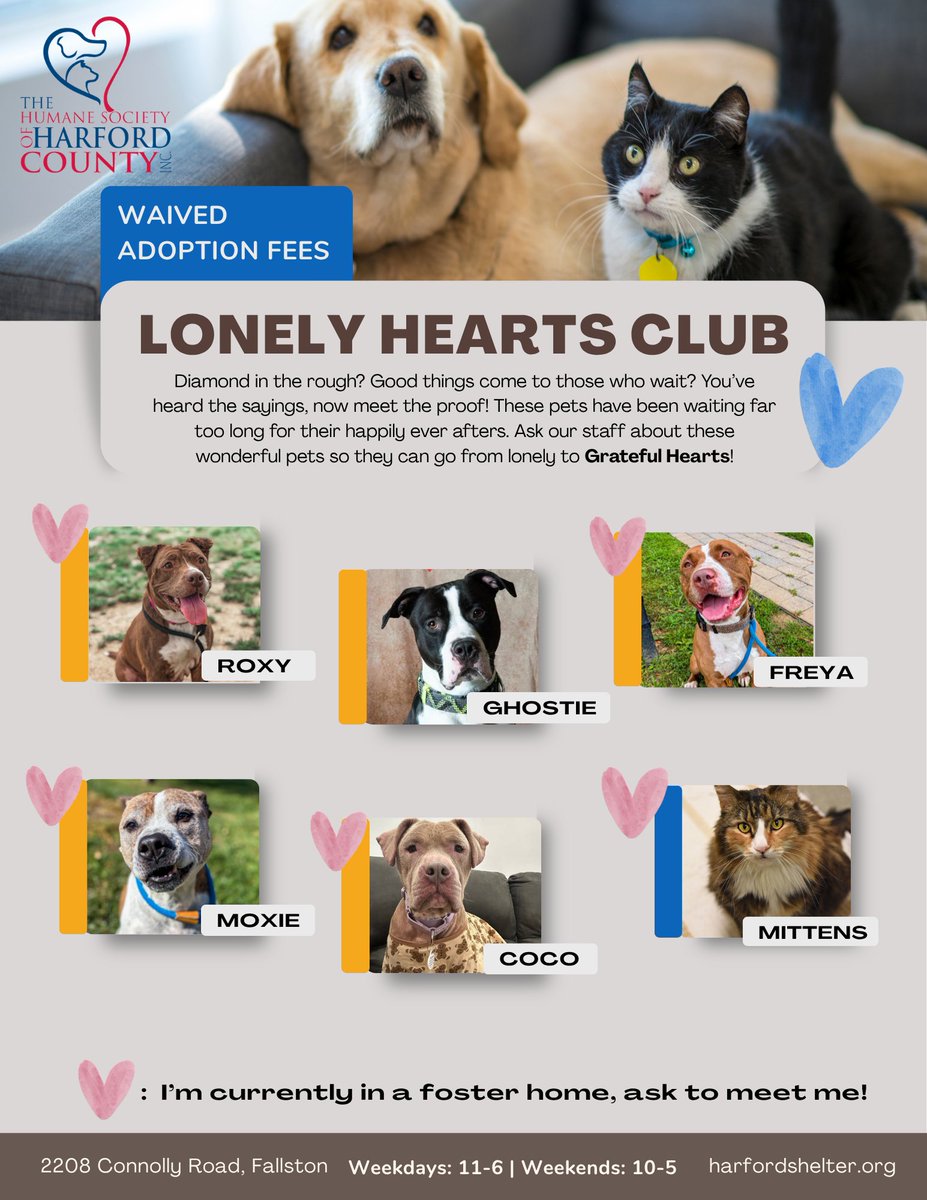 Harford Humane🐾 tweet media