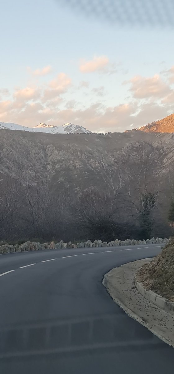 Mago Sagazzu🦎☭🇵🇸🗝 tweet media