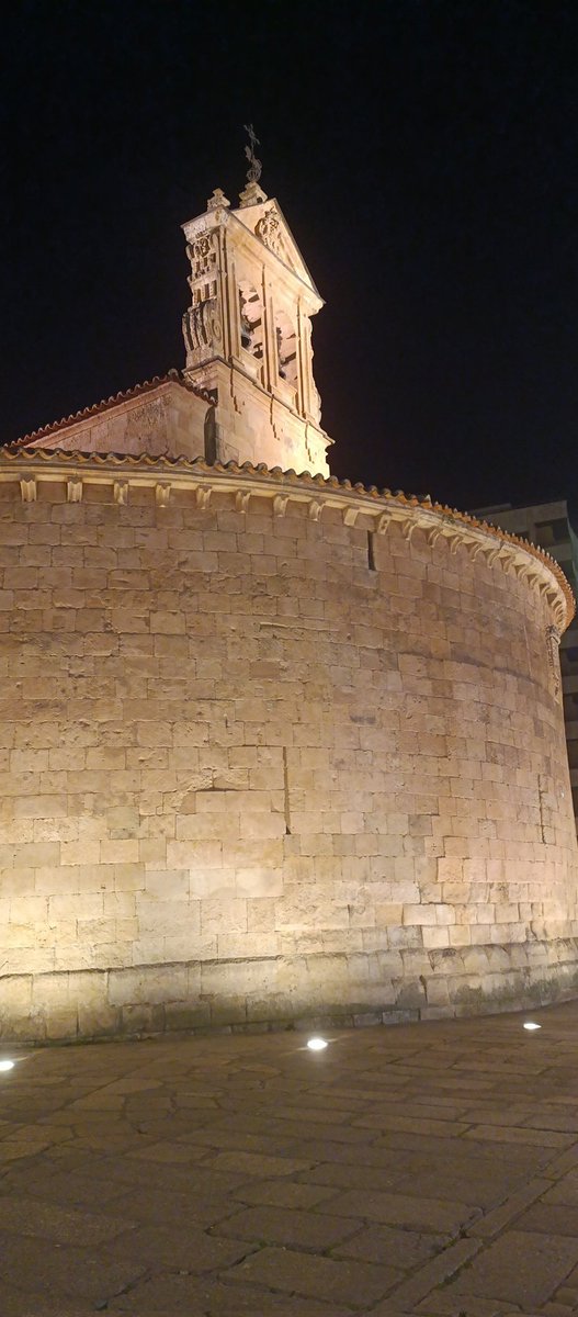 Charrisca 🦁🌾 tweet media