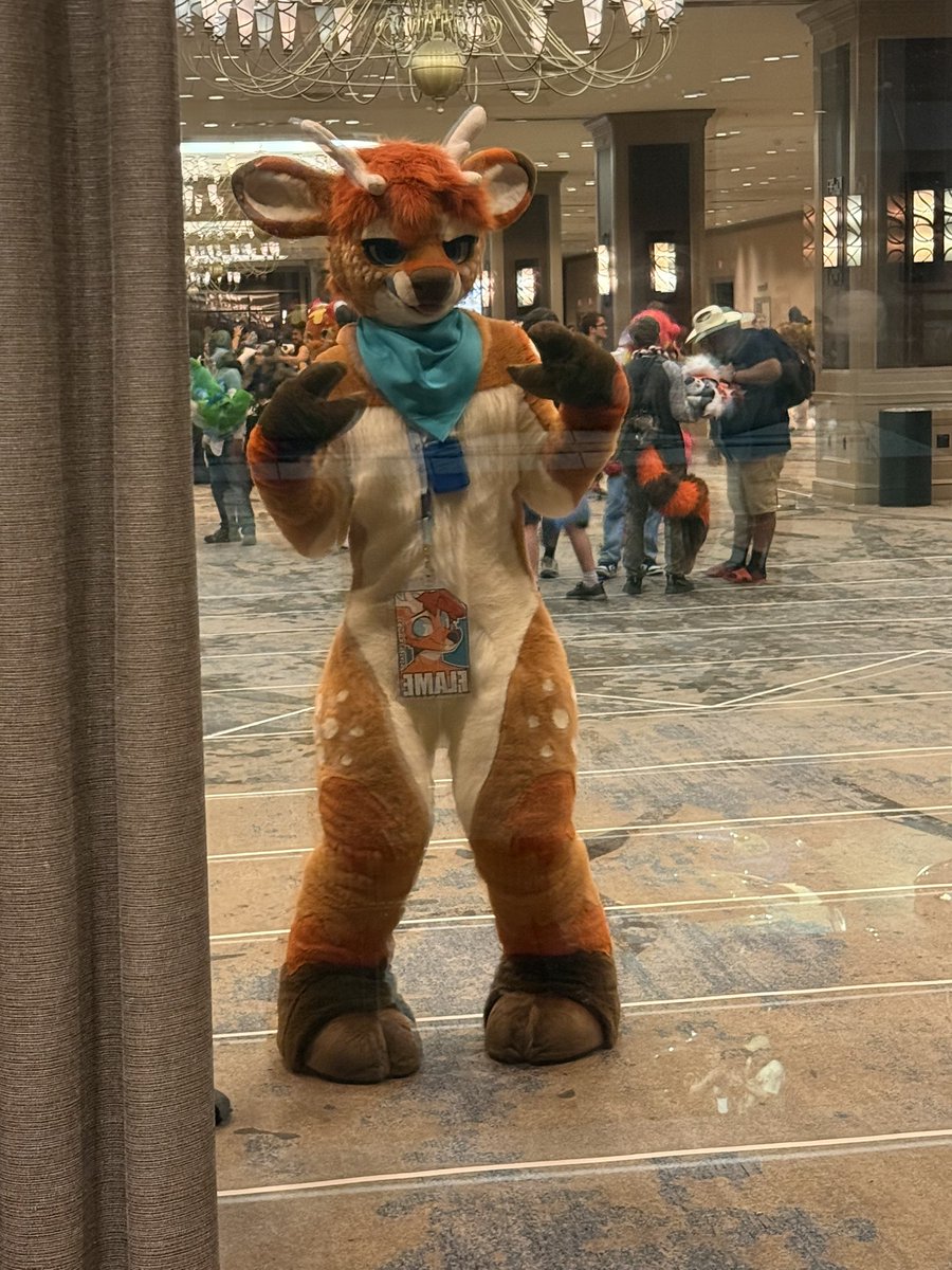 flame ➡️ FWA tweet media