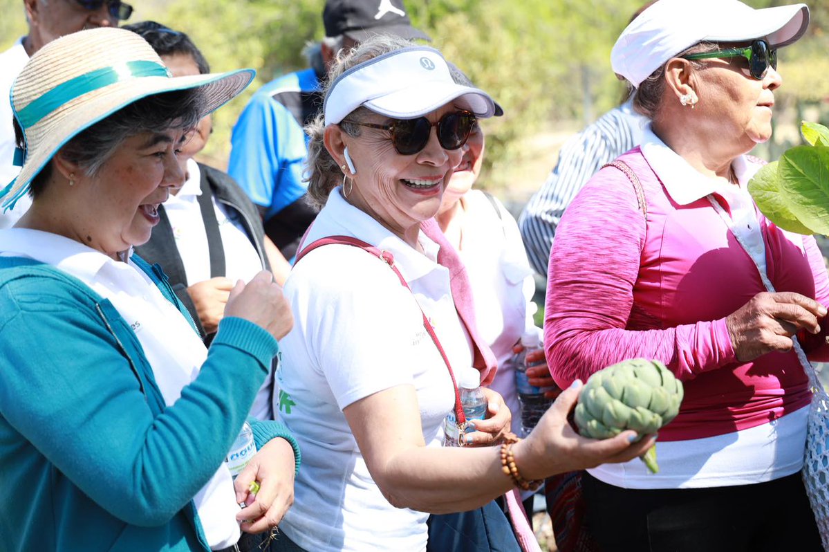 DIF Estatal SLP tweet media