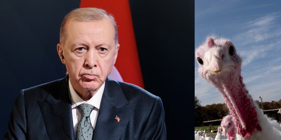 Yaniv Shlomoz10 tweet media