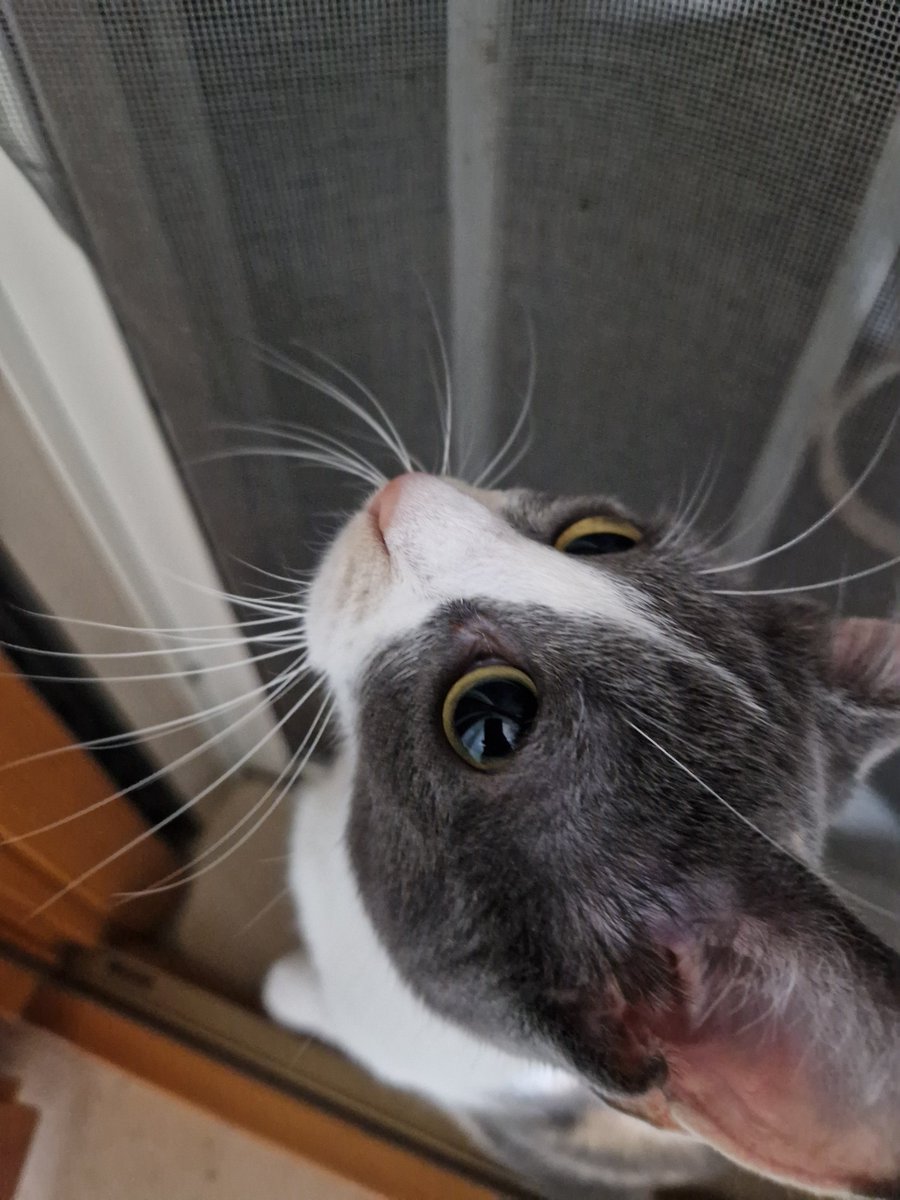 Para-ualler tweet media