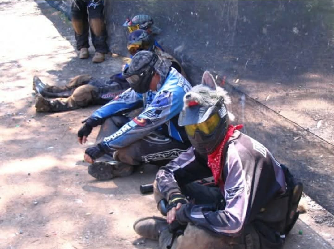 𝔓𝔞𝔫𝔷𝔢𝔯 tweet media