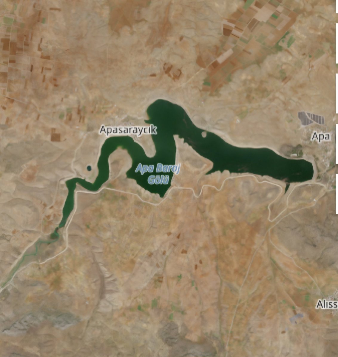 Kuttusi Demir tweet media