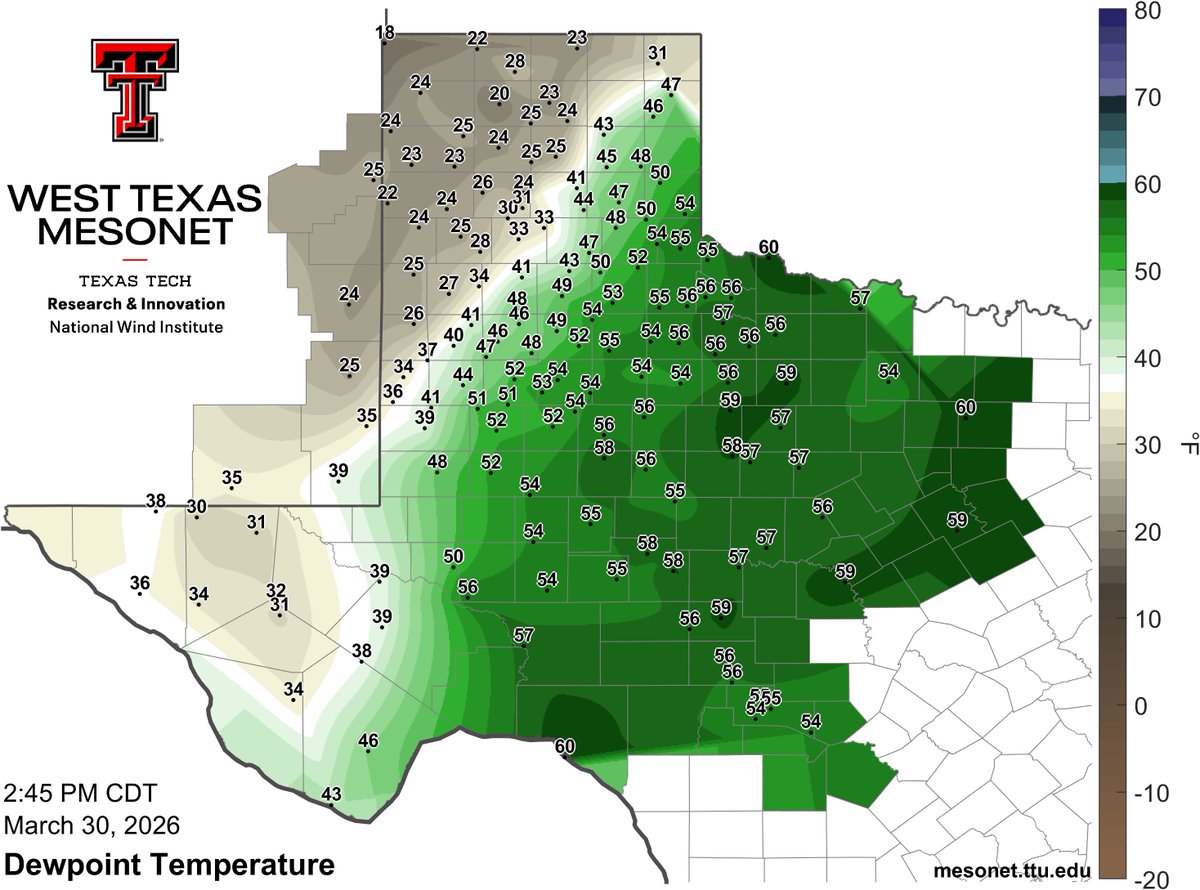 West Texas Mesonet tweet media
