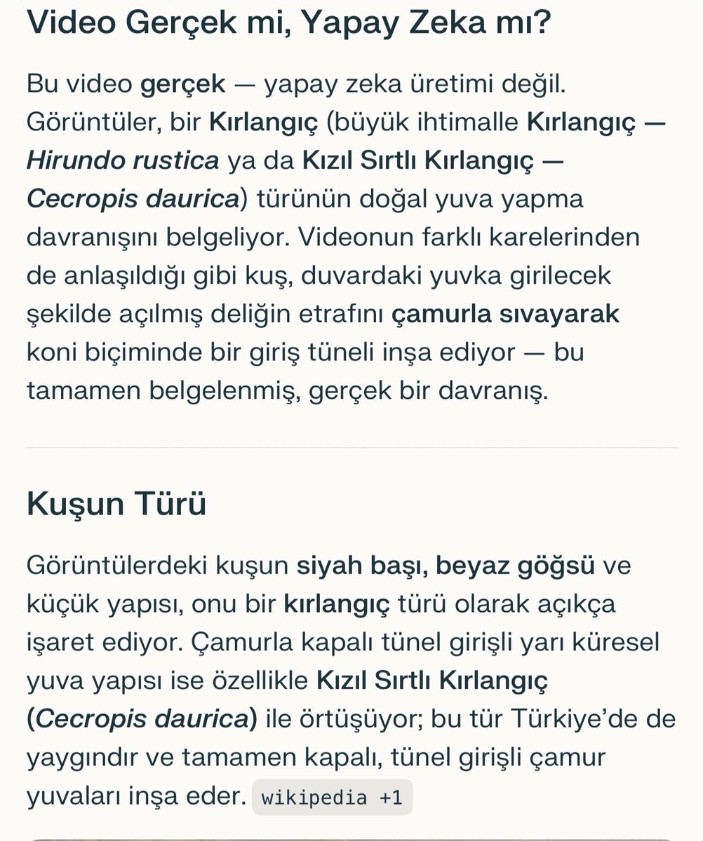 Ali BALIK 🇹🇷 tweet media