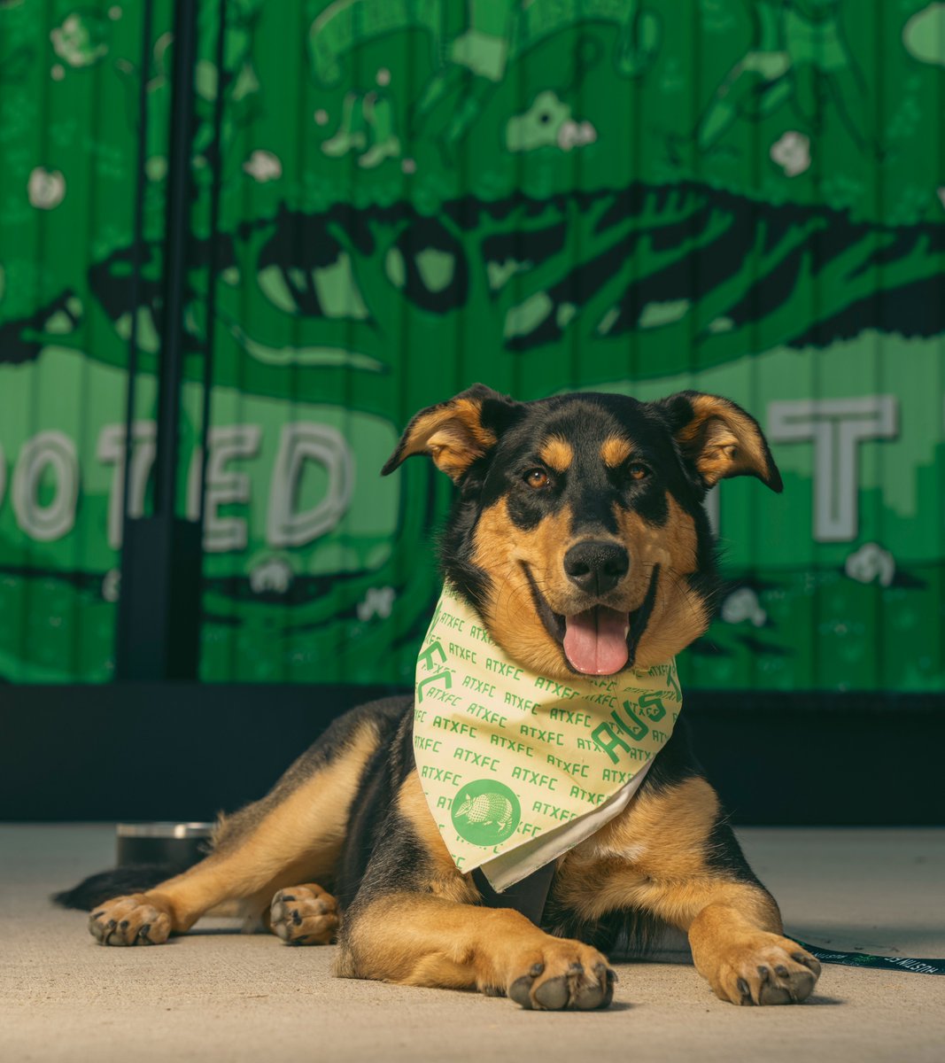 Austin FC tweet media