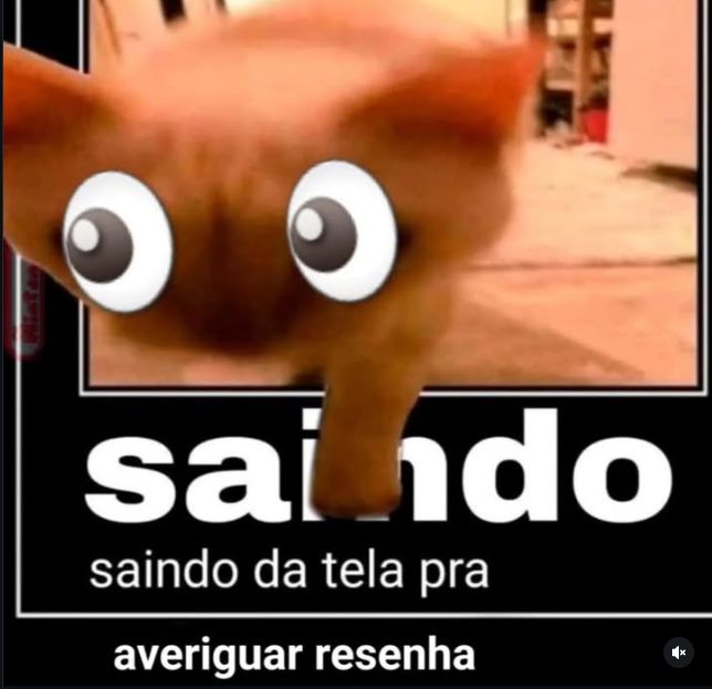 Hayato_Stars tweet media