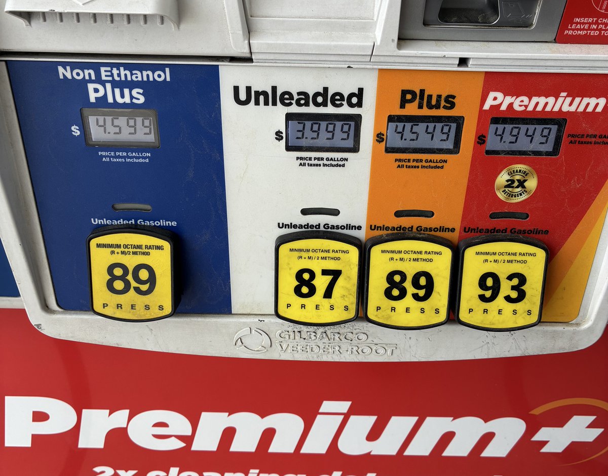 𝙼𝚁. 𝙻𝙴𝙰𝙳𝚂𝙻𝙸𝙽𝙶𝙴𝚁 tweet media