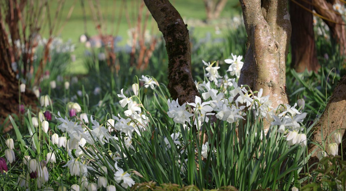 Chris Howell tweet media