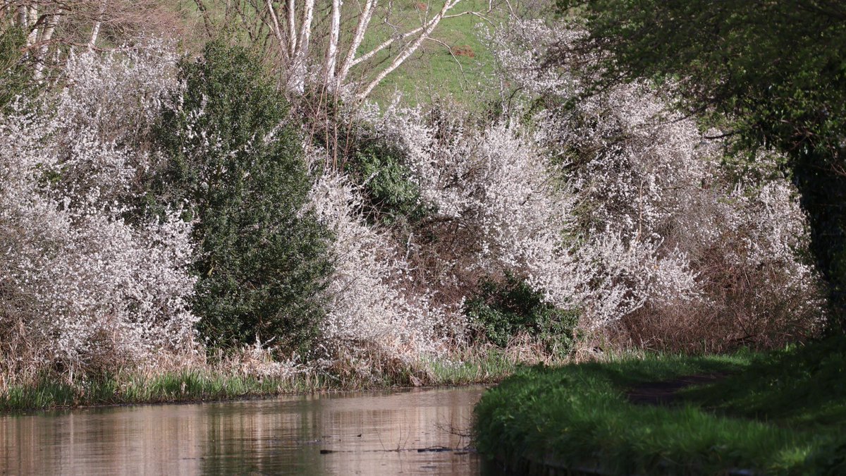 Chris Howell tweet media