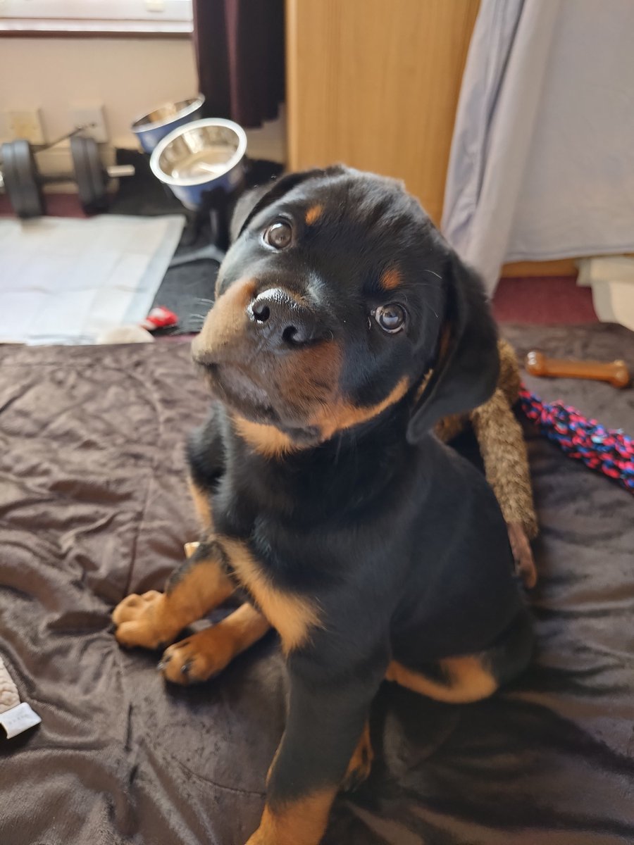 Paul 🩵 🏴🇬🇧 tweet media