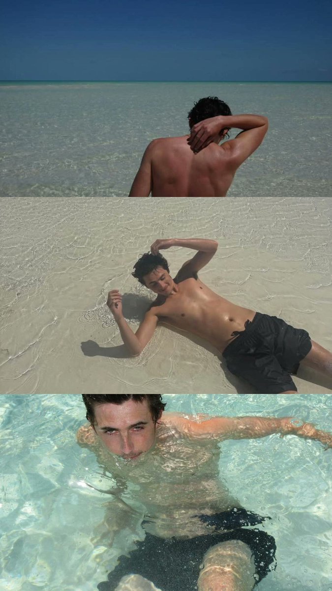 Lea 🦇 ⚢ tweet media