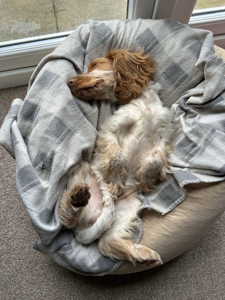 Lexx Lawrence tweet media